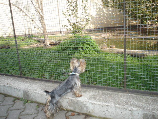 Snímek 004.jpg